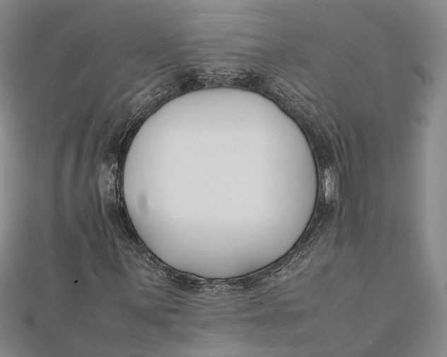 X0000112171059200908281335