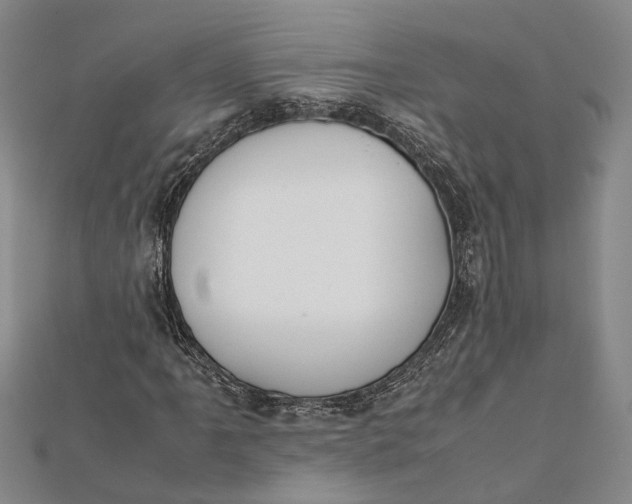 X0000112171061200908281335