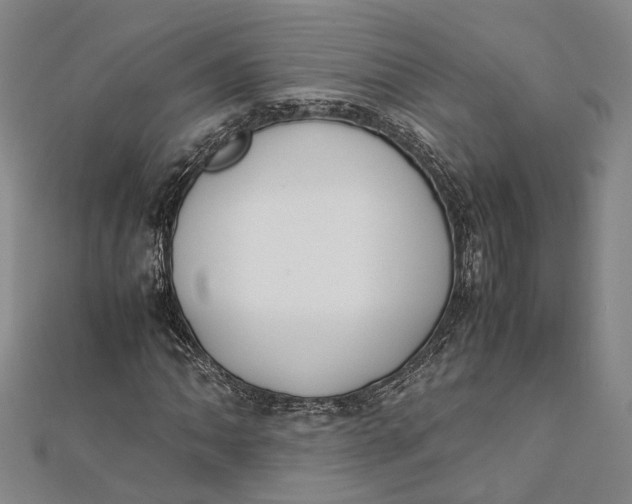 X0000112171062200908281335