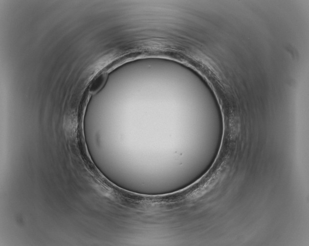 X0000112171065200908281335