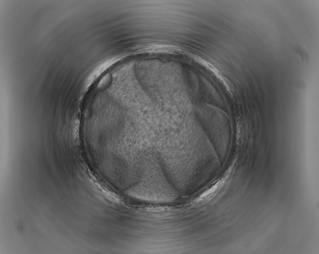 X0000112171066200908281335