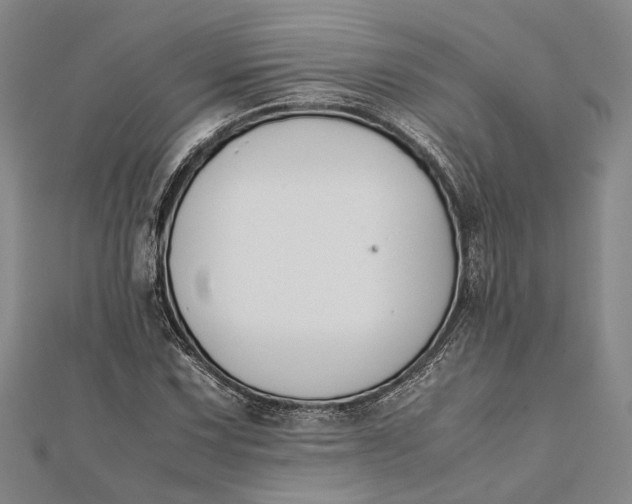 X0000112171067200908281335