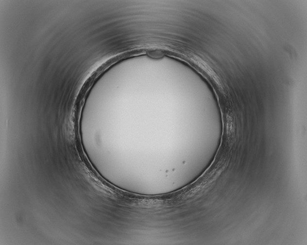 X0000112171068200908281335