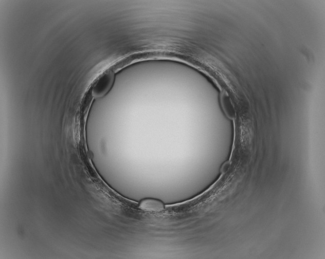 X0000112171069200908281335