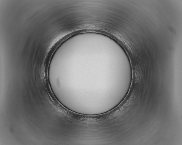 X0000112171070200908281335