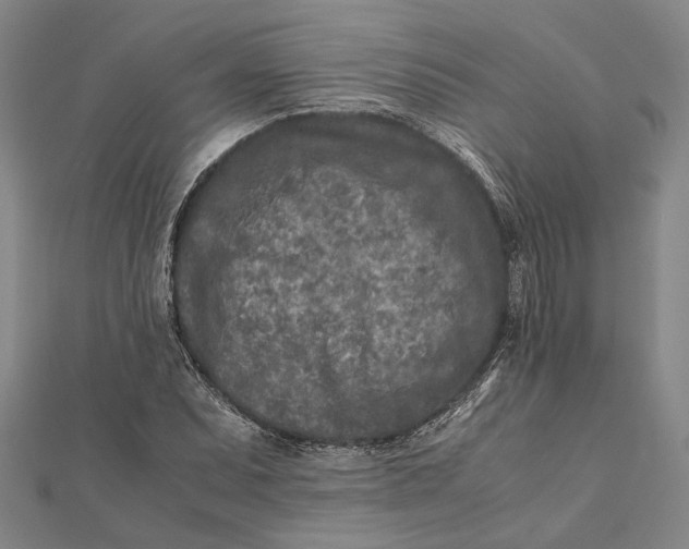 X0000112171071200908281335