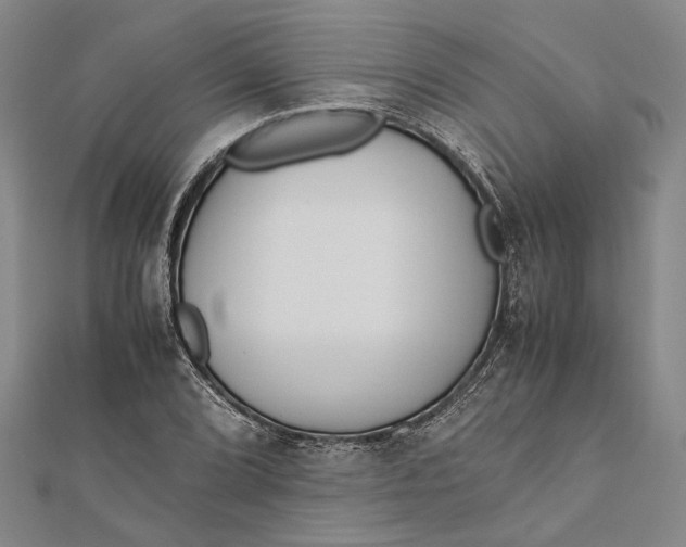 X0000112171072200908281335