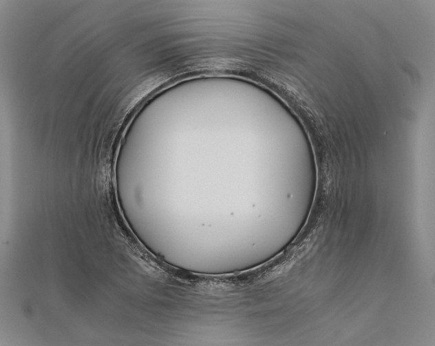 X0000112171073200908281335