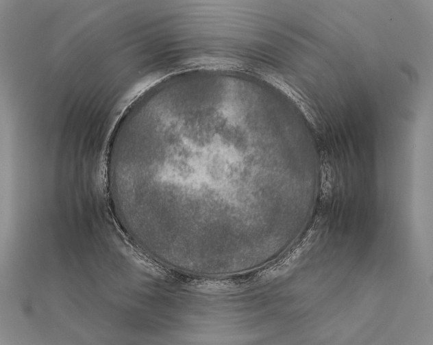 X0000112171074200908281335