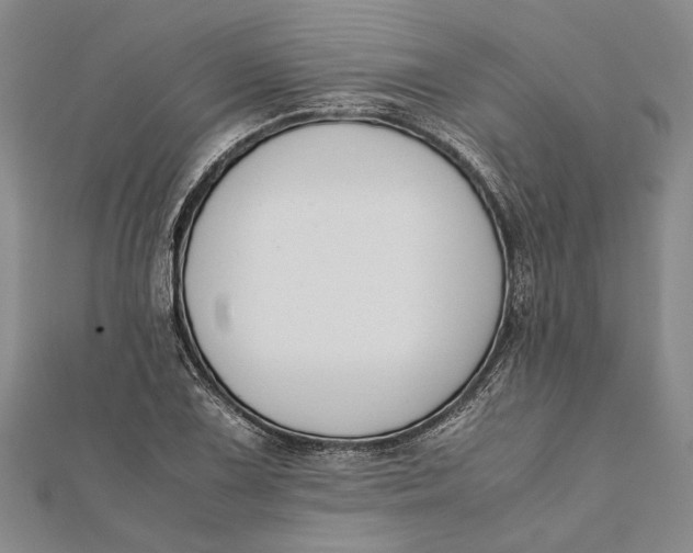 X0000112171075200908281335