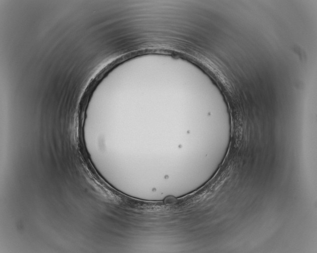 X0000112171076200908281335