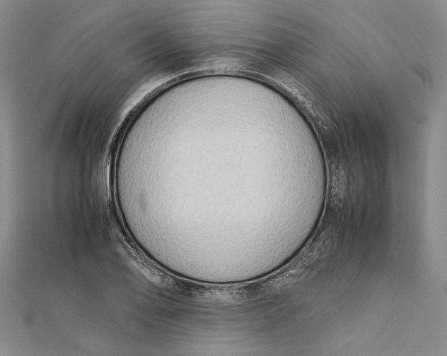 X0000112171078200908281335