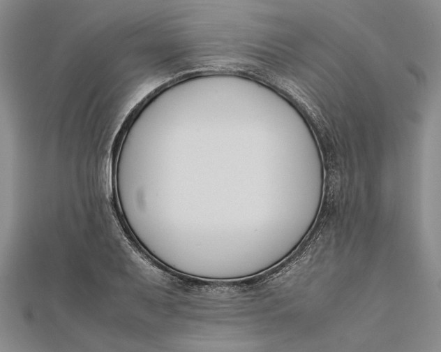 X0000112171079200908281335