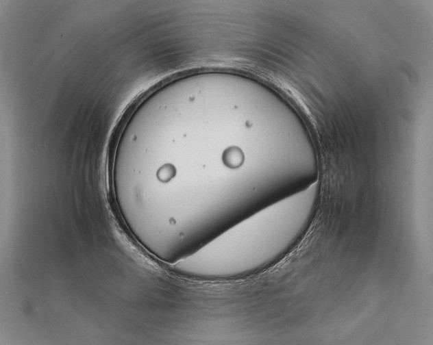 X0000112171080200908281335