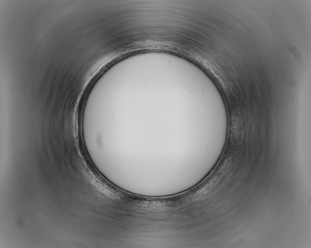 X0000112171082200908281335