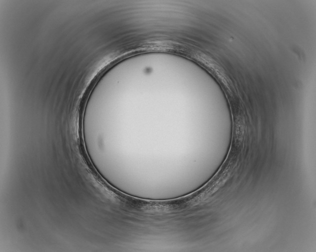 X0000112171083200908281335