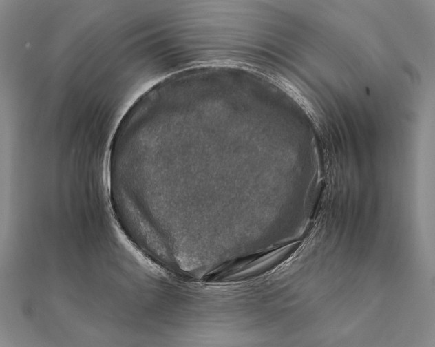 X0000112171084200908281335