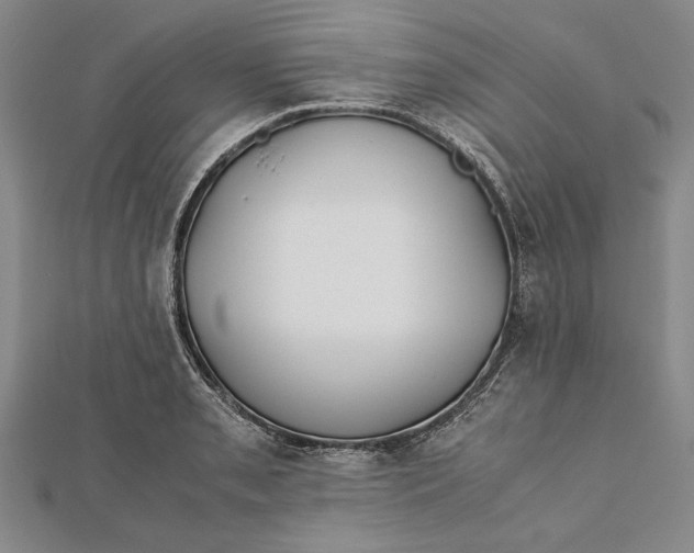 X0000112171085200908281335