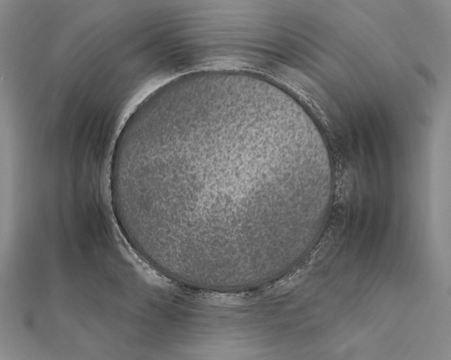 X0000112171086200908281335