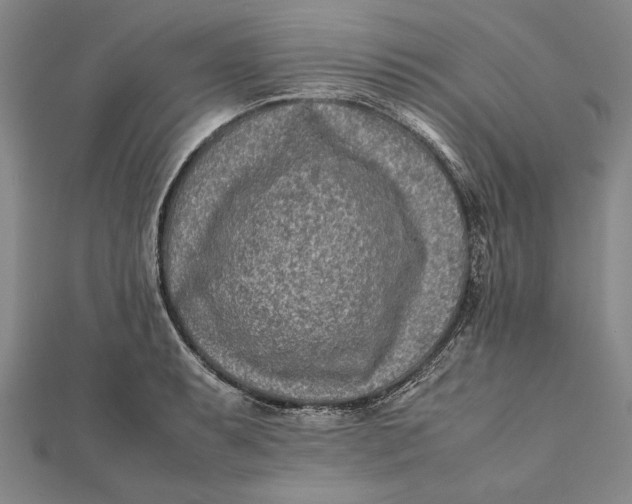 X0000112171087200908281335