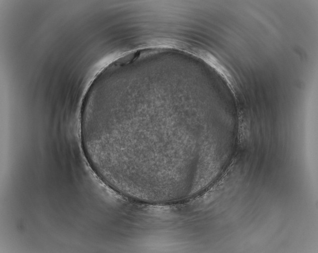 X0000112171088200908281335