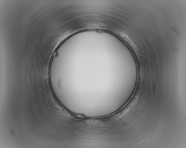 X0000112171089200908281334