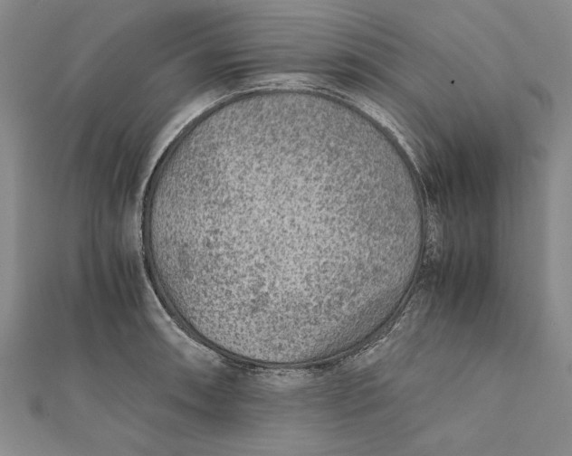 X0000112171090200908281334