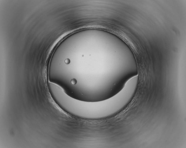 X0000112171092200908281334