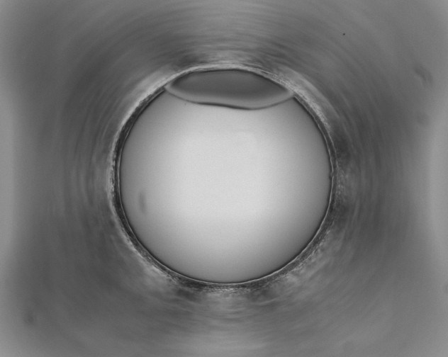 X0000112171093200908281334