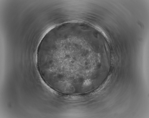 X0000112171095200908281334