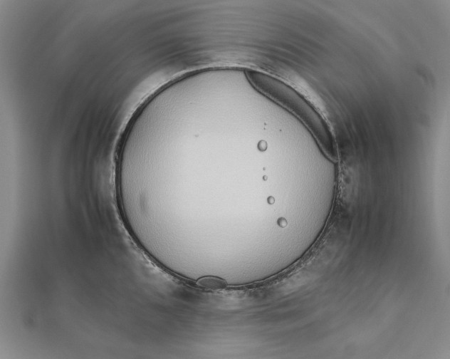 X0000112171096200908281334