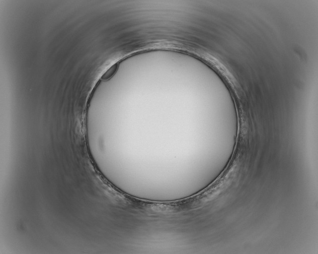 X0000112171097200908281334