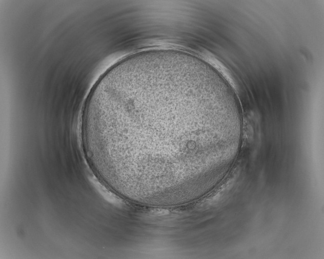 X0000112171098200908281334