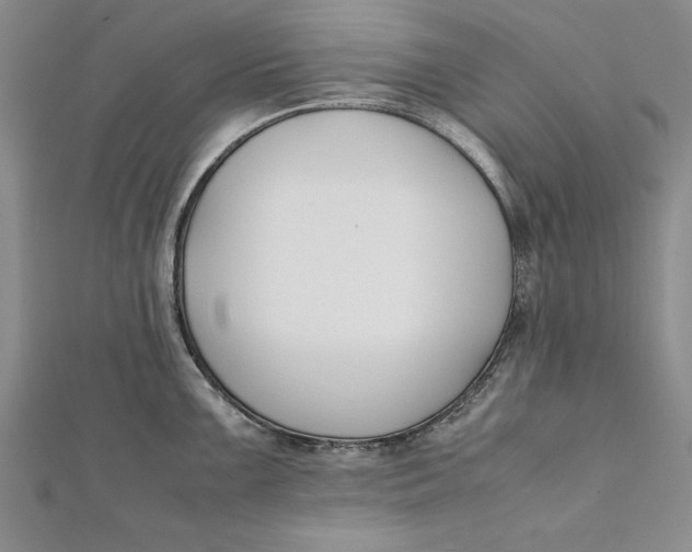 X0000112171099200908281334