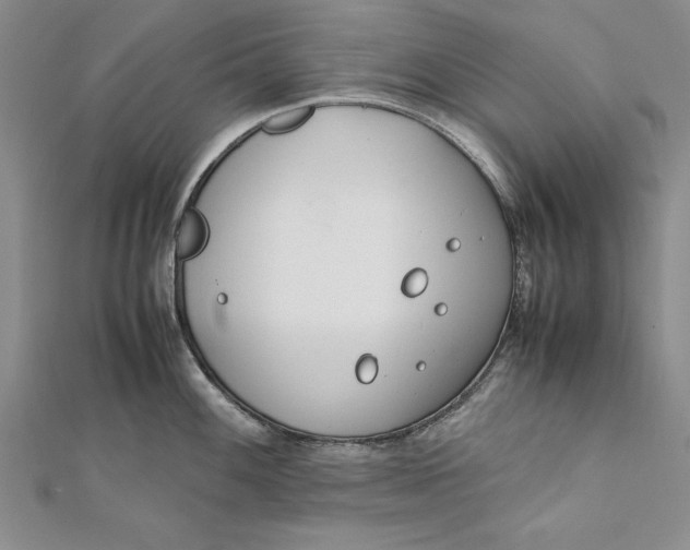 X0000112171100200908281334