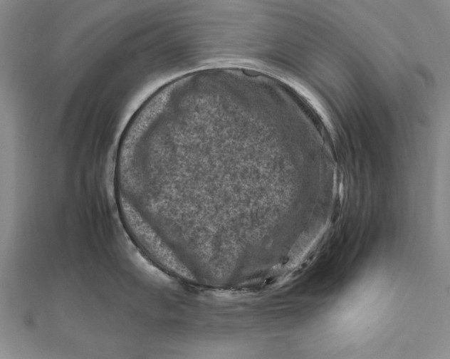 X0000112171102200908281334