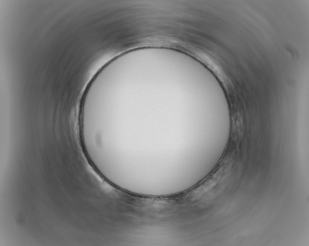 X0000112171103200908281334