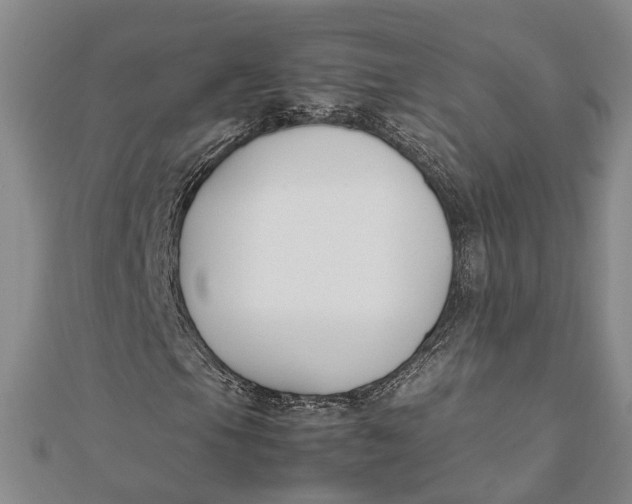 X0000112171105200908281334