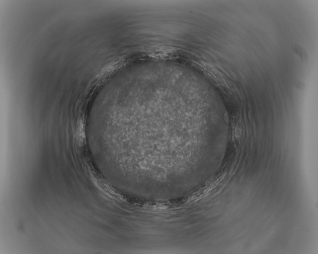 X0000112171106200908281334