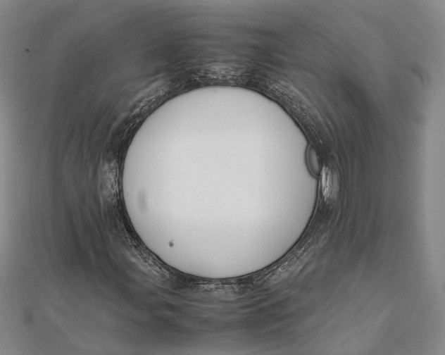 X0000112171107200908281334