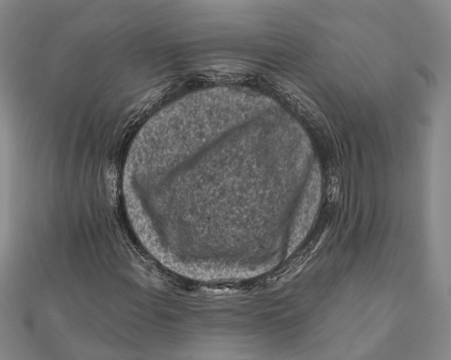 X0000112171108200908281334