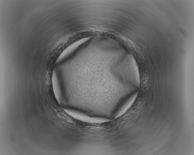 X0000112171110200908281334