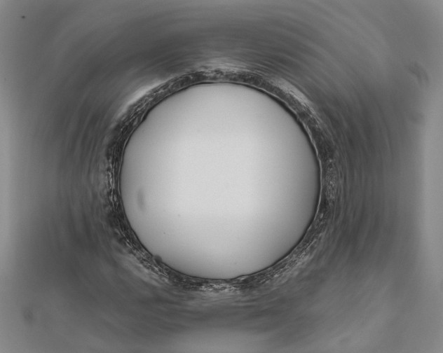 X0000112171112200908281334