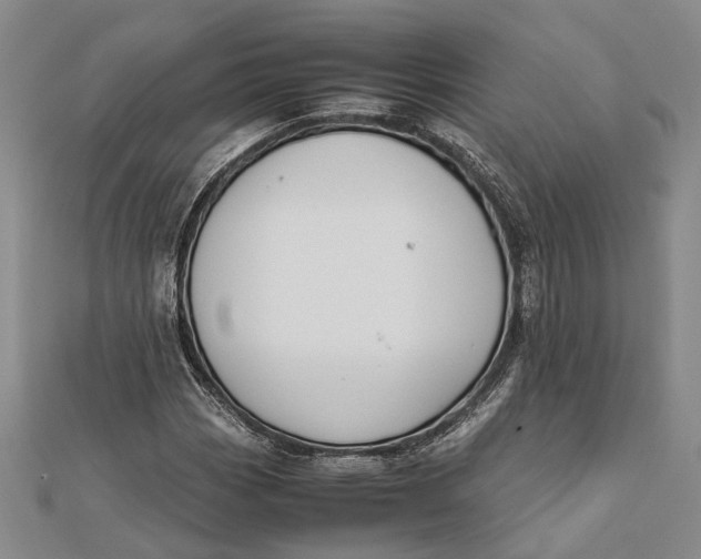 X0000112171113200908281334