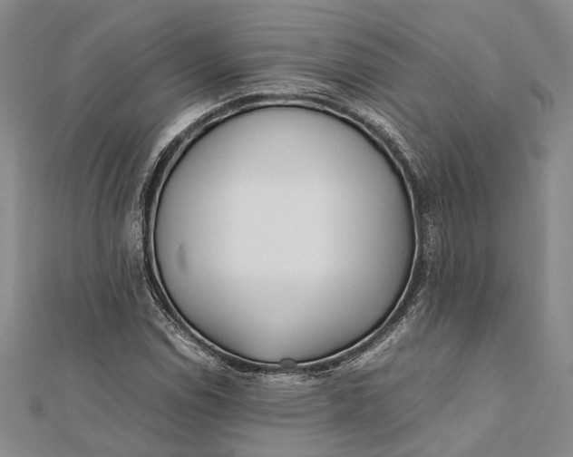 X0000112171114200908281334