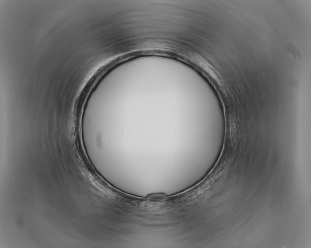 X0000112171116200908281334