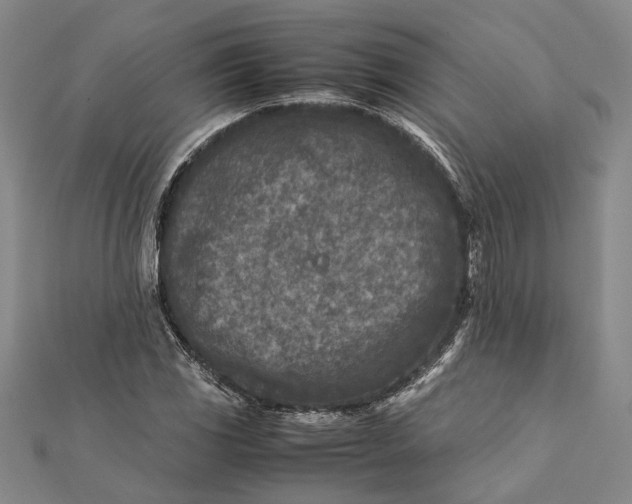 X0000112171117200908281334