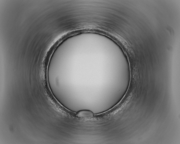 X0000112171118200908281334