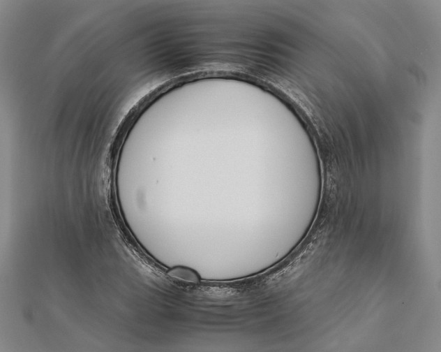 X0000112171119200908281334