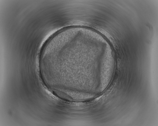 X0000112171120200908281334